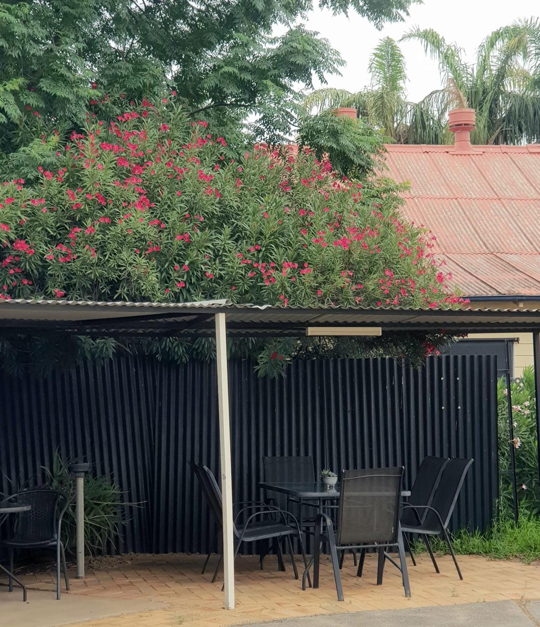 The Major Mitchell Motel Bourke Luaran gambar